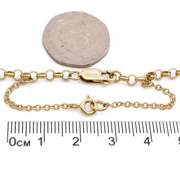 9ct Gold 19 inch Belcher Chain
